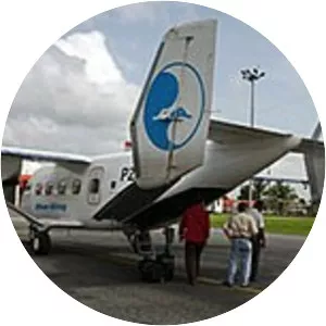 Blue Wing Airlines 2008 plane crash