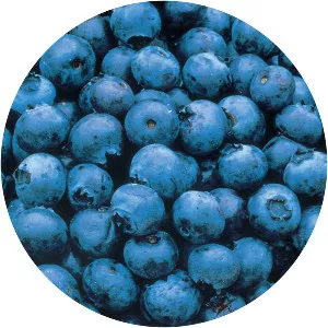 Blueberry