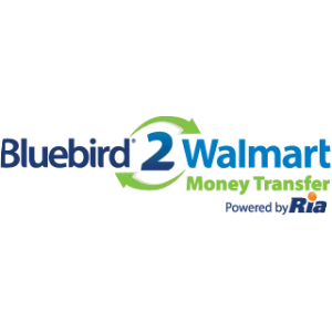 Bluebird Systems Inc. - Software company