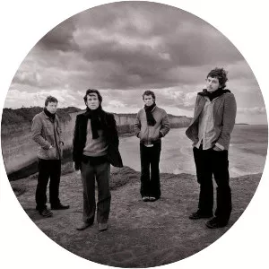 Bluebottle Kiss - Rock band