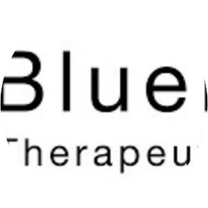 BlueRock Therapeutics LP - Company