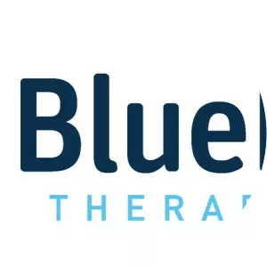 BlueRock Therapeutics