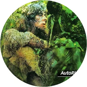 Blues from Laurel Canyon