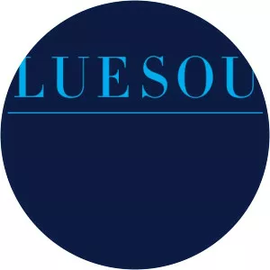 Bluesoul - Musical artist