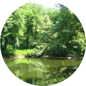 Bluestone National Scenic River