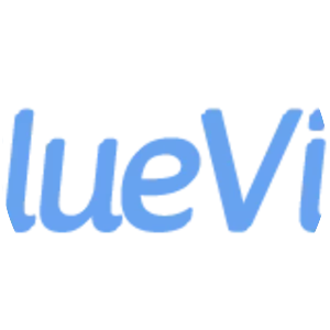 BlueVine Capital Inc.