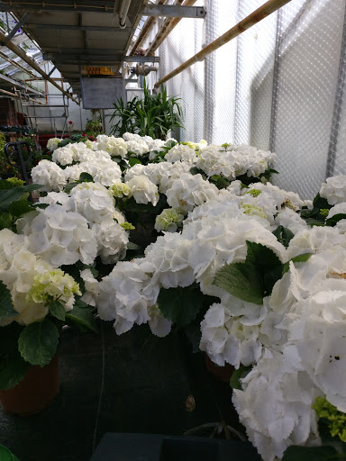 Blumen Egerth - Exenberger KG - Garden center in Ebbs, Austria