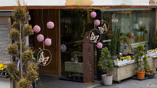 Blumen Falch KG - Corporate office in Austria