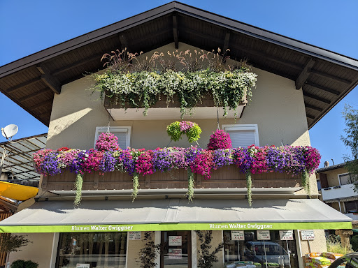 Blumen Walter Gwiggner - 