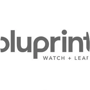 Bluprint