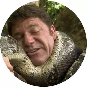 Boa constrictor - Snakes