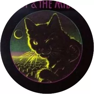 Bobby and the Midnites