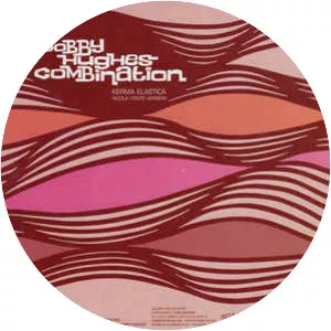 Bobby Hughes Combination - Musical artist