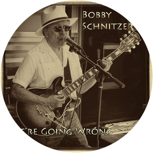 Bobby Schnitzer - Musical artist