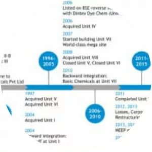 Bodal Chemicals Ltd. - Chemicals company