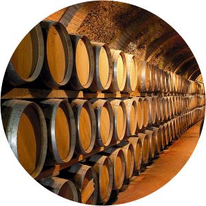 Bodegas Vinícola Real