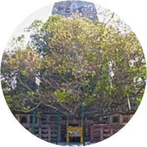 Bodh Gaya bombings - 