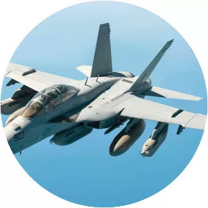 Boeing EA-18G Growler - Electronic-warfare aircraft