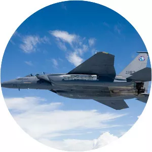 Boeing F-15SE Silent Eagle - Aircraft model