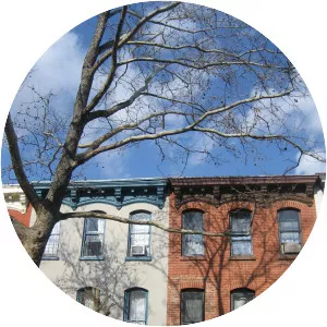 Boerum Hill - Neighborhood in New York City, New York