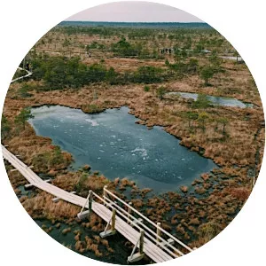 andrea ljekaj bog - Musical artist