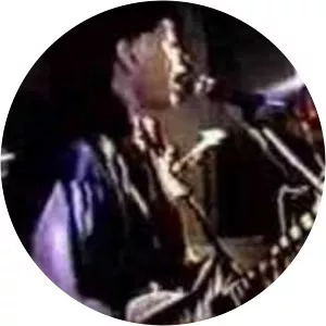 Bogdan Tutak Musician