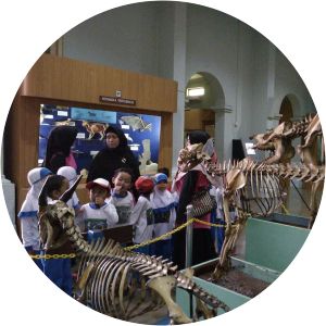Bogor Zoology Museum
