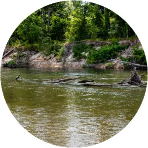 Bogue Chitto - Stream in Louisiana