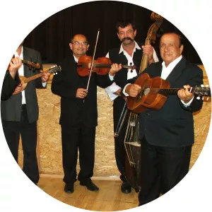 Bogyiszlóizenekar - Musical artist