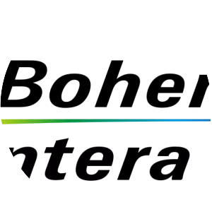 Bohemia Interactive - Video game developer