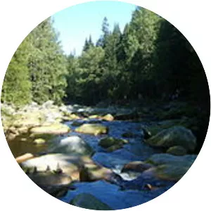 Bohemian Forest photograph