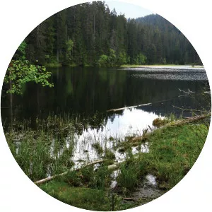 Bohemian Massif photograph