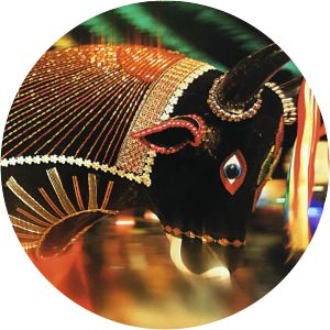 Boi de Pindaré - Musical artist