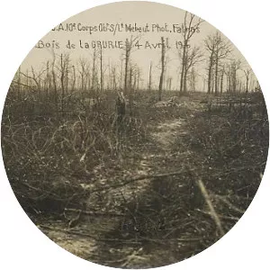 Bois de la Gruerie - 