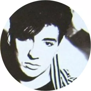 Bojan Goričan Musician