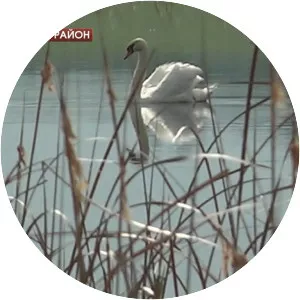 Bol'shoy Sarykul' - Lake in Russia