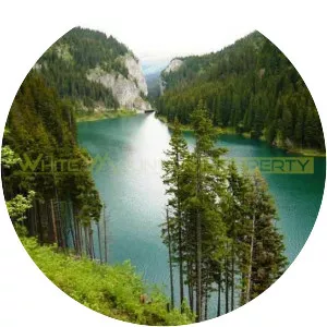 Bolboci Lake - Lake in Romania