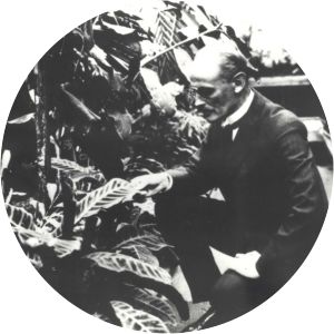 Bolesław Hryniewiecki