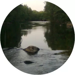 bolman - River in Sweden