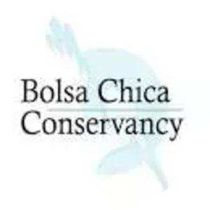 Bolsa Chica Conservancy - 