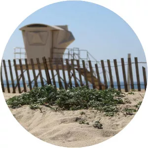 Bolsa Chica State Beach - County park in California