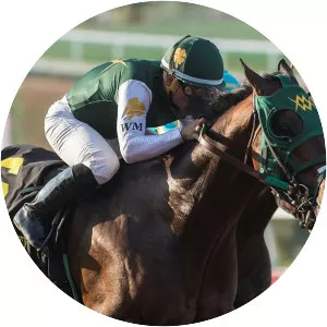 Bolt d'Oro photograph