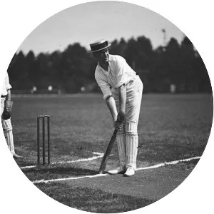 Bolton v Stone - Legal case