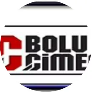 Bolu Çimento Sanayii A.Ş. - Company