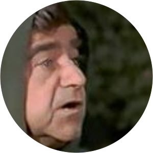 Bonanza Hoss and the Leprechauns