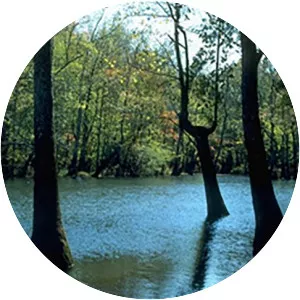 Bond Swamp National Wildlife Refuge - Wildlife refuge in Georgia