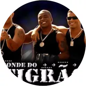 Bonde do Tigrão