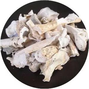 Bone ash
