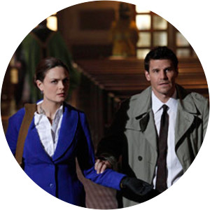 Bones The Devil in the Details