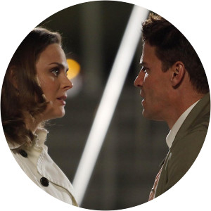 Bones The Parts in the Sum of the Whole